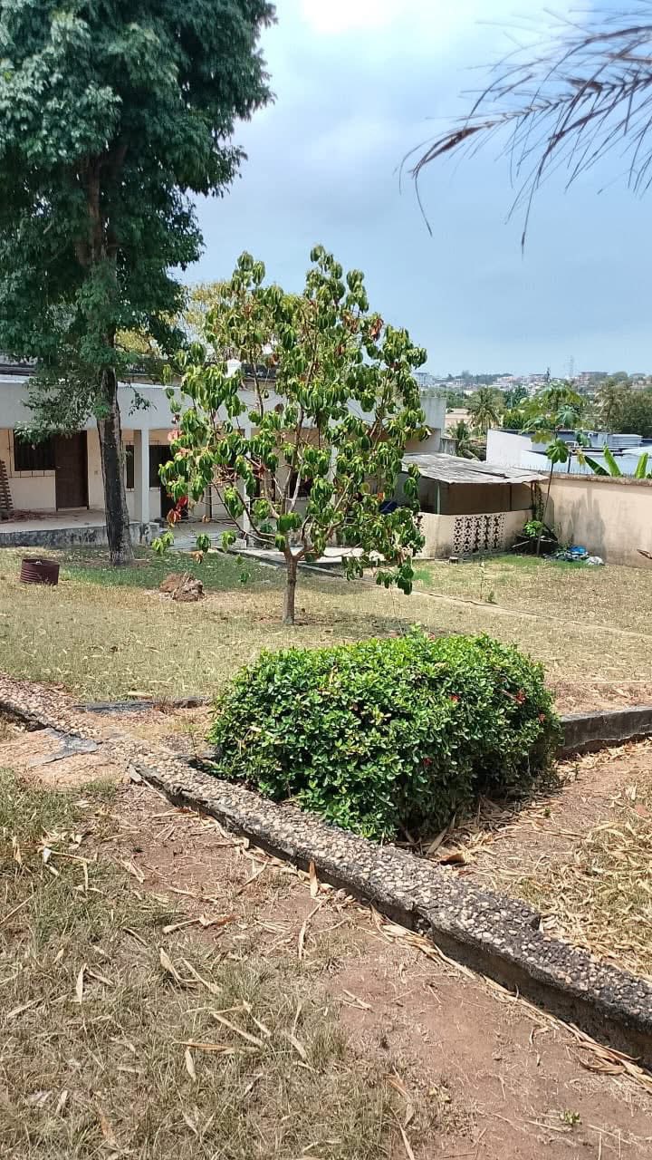 A VENDRE / SITE BATI - RIVIERA 3