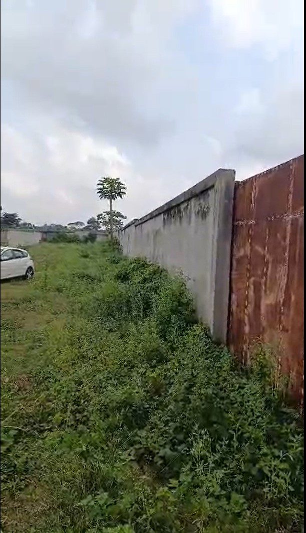 LOTS DE 500 M² A BINGERVILLE